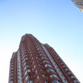 IMG_1535850