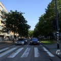 IMG_1535859