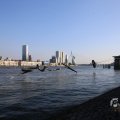 IMG_1535937