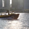 IMG_1536038