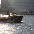 IMG_1536039