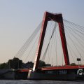 IMG_1536041