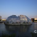 IMG_1536136