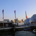 IMG_1536153