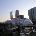 IMG_1536156