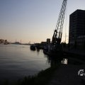 IMG_1536194