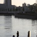 IMG_1536199