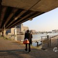 IMG_1536209