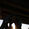 IMG_1536222