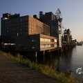 IMG_1536228