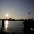 IMG_1536266