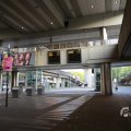 IMG_1536293