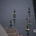 IMG_1536426