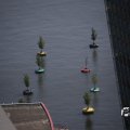 IMG_1536427