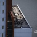 IMG_1536462