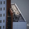 IMG_1536463