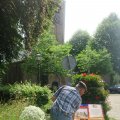 IMG_1536786