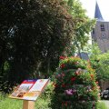 IMG_1536795