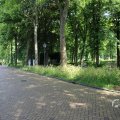 IMG_1536802