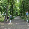 IMG_1536803