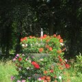 IMG_1536809
