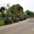 IMG_1536863