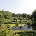 IMG_1538225