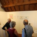 IMG_1538305