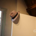 IMG_1538315