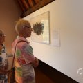 IMG_1538335