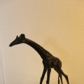 IMG_1538336