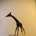 IMG_1538338