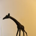 IMG_1538340