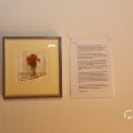IMG_1538398