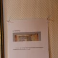 IMG_1538403