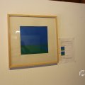 IMG_1538405