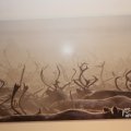 IMG_1538428