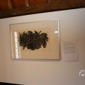 IMG_1538463