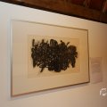 IMG_1538464