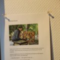 IMG_1538470