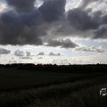 IMG_1538550