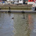IMG_1547692