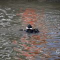 IMG_1547695