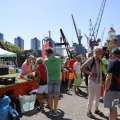 IMG_1547729