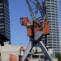 IMG_1547830