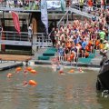 IMG_1547928