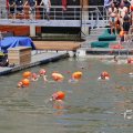 IMG_1547930