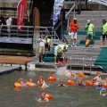 IMG_1547977