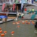 IMG_1547978