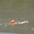 IMG_1548043